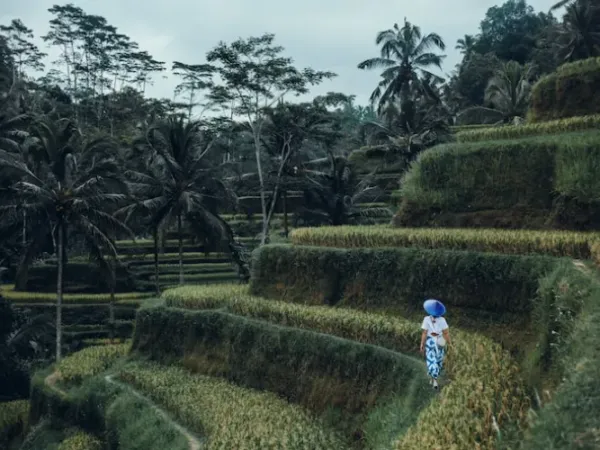 7 Hal yang Wajib Dicoba di Ubud