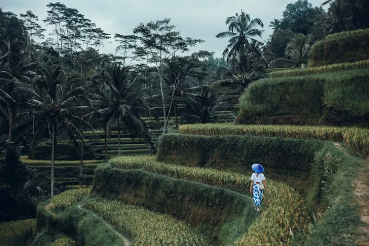7 Hal yang Wajib Dicoba di Ubud
