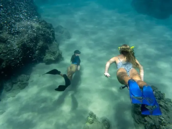 Crystal Bay: Snorkeling Terbaik di Nusa Penida