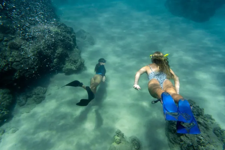 Crystal Bay: Snorkeling Terbaik di Nusa Penida