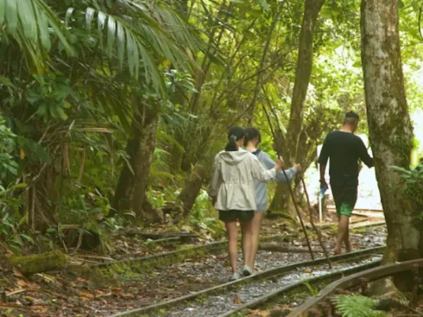 Panduan Wisata Ubud: Tempat Wisata, Aktivitas, dan Tips Lengkap