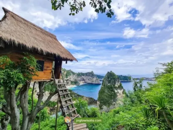 Rumah Pohon Nusa Penida