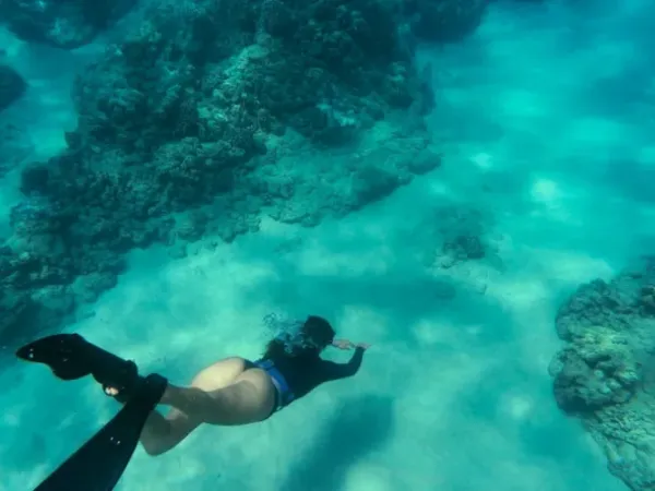Tips Keselamatan Snorkeling & Diving di Nusa Penida