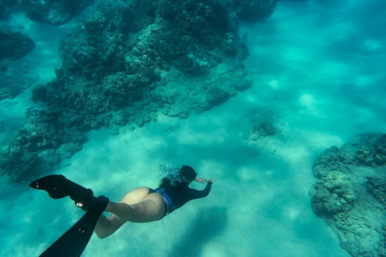 Tips Keselamatan Snorkeling & Diving di Nusa Penida
