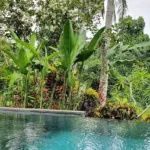 Ubud