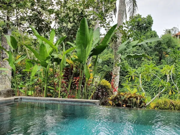 Ubud