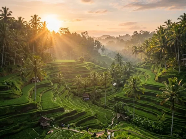 Panduan Wisata Bedugul & Bali Tengah: Danau, Pura & Udara Sejuk